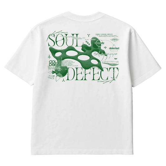 object.id: CLD_002 [soul_defect]